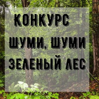 Конкурс “Шуми, шуми зеленый лес”