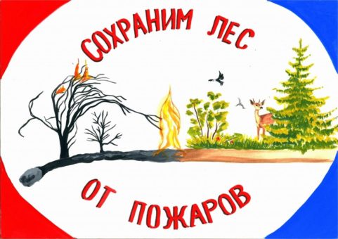 Конкурс “Сохраним лес от пожаров”