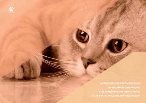 Методические рекомендации по организации работы с безнадзорными животными в субъектах Российской Федерации